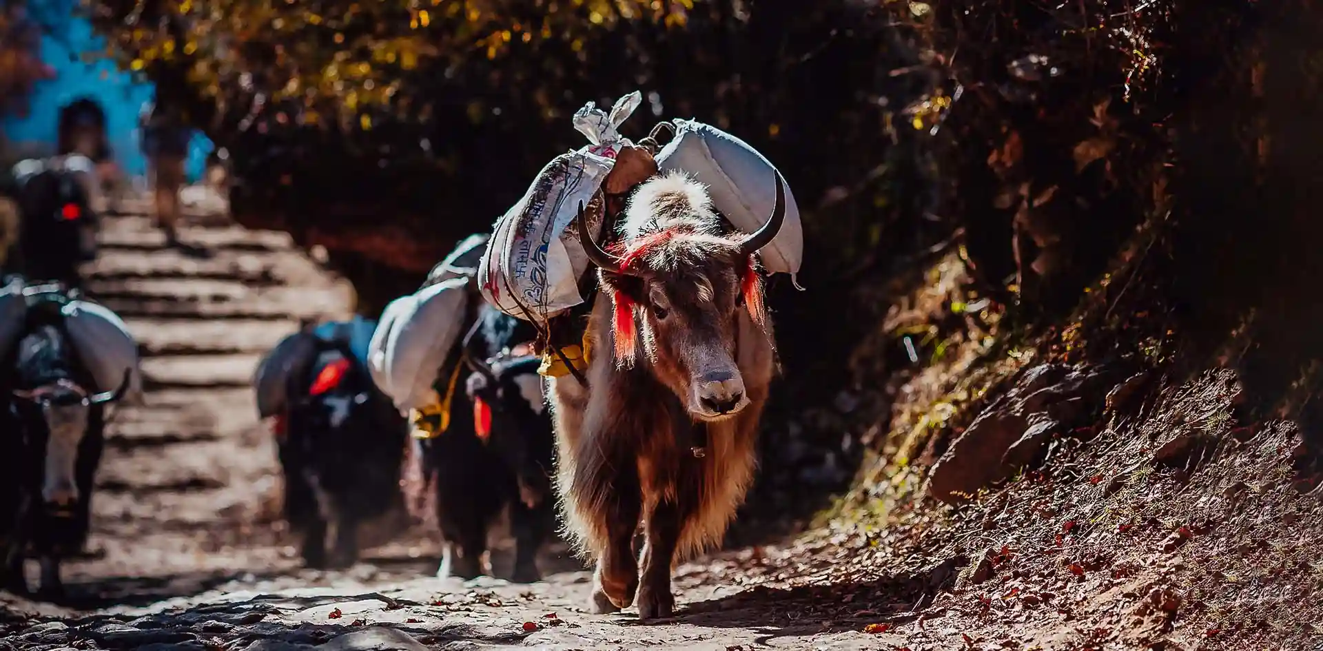 Luxury cultural tours Nepal