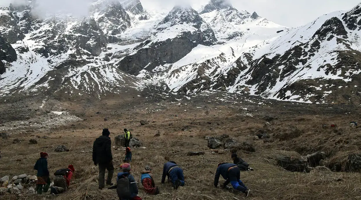 Saipal Base Camp Trek – 22 Days Saipal Base Camp Trek – 22 Days