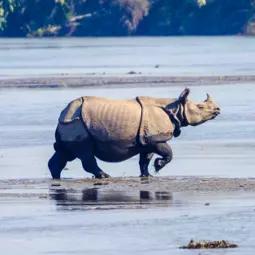 Best Places to Visit in Chitwan 2025 :  Top 10 Famous Places in Chitwan Explained 