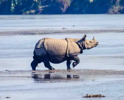 Best Places to Visit in Chitwan 2025 :  Top 10 Famous Places in Chitwan Explained 