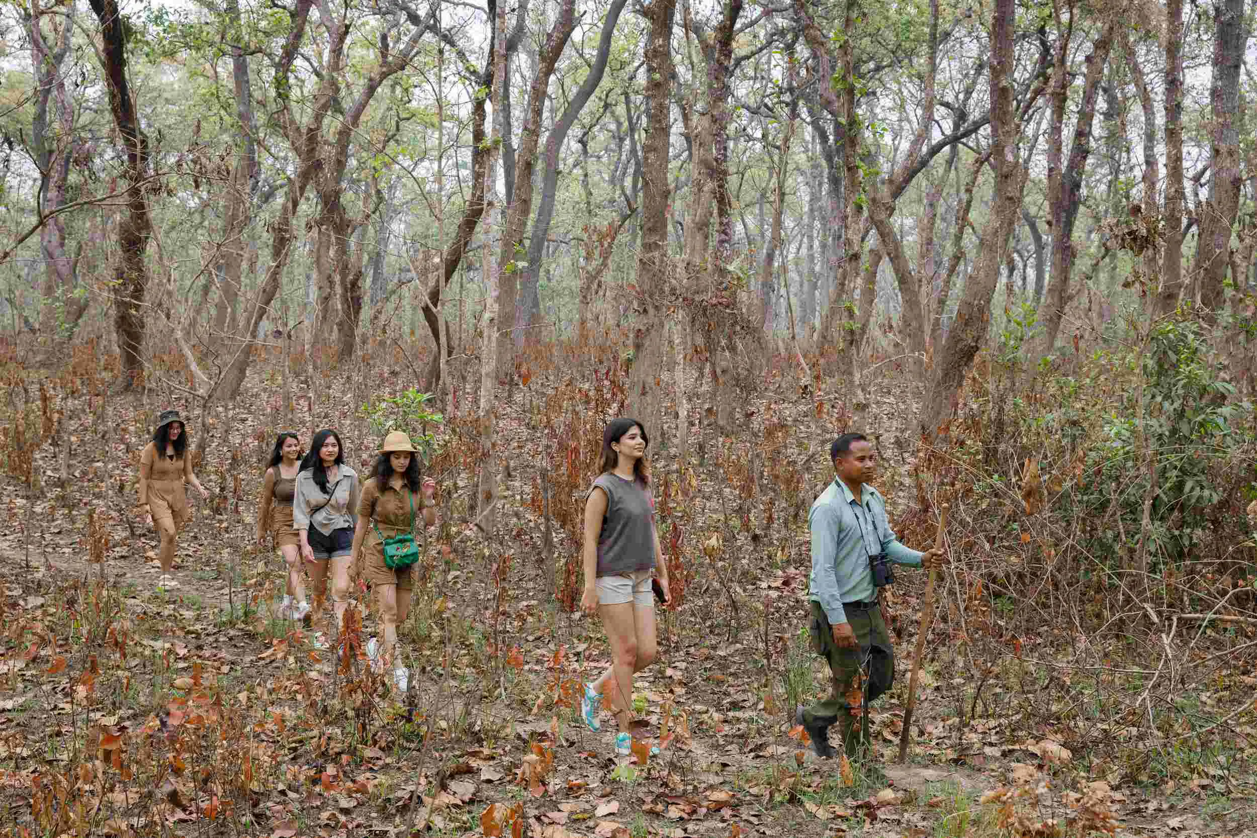 Jungle Walks at Chitwan National Park (Best Places to Visit in Chitwan)