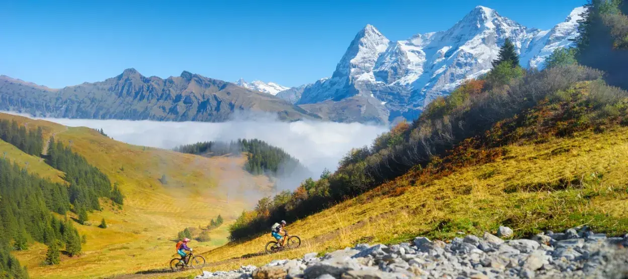 Mountain Biking Adventures: Types, History, Best Trails, Gear Tips, Beginner Guide & Environmental Considerations 