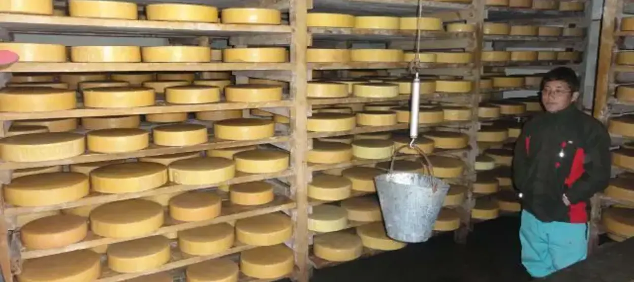 Nepal’s First Yak Cheese Factory in Langtang | A Taste of Himalayan Heritage at Kyanjin Gompa