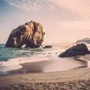 Dhan G Tripadvisor Reviews