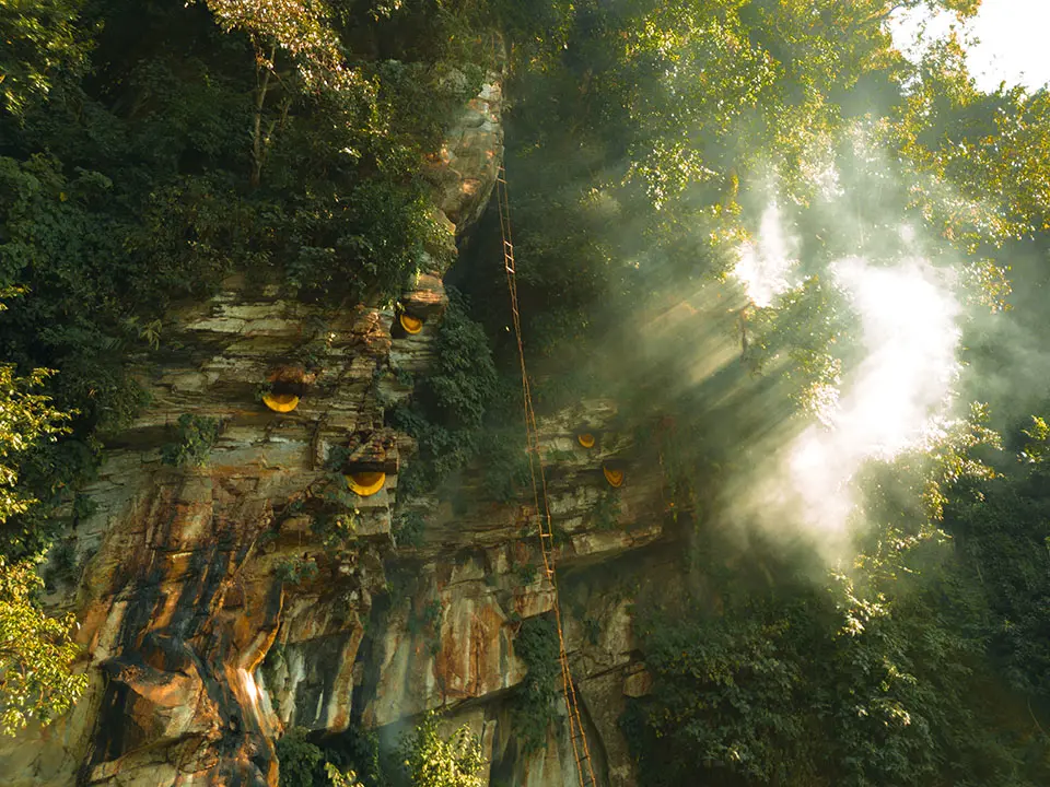 Mad Honey Hunting Trek Package