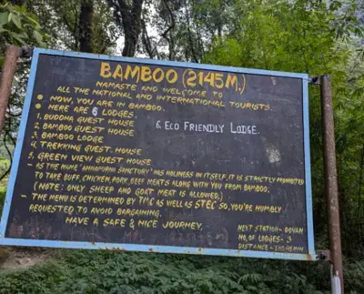Bamboo Village Nepal : Location, Altitude, Stop, Rest & Explore Lush Bamboo Forests on ABC Trek