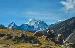 Everest Three High Passes Trek-18 days