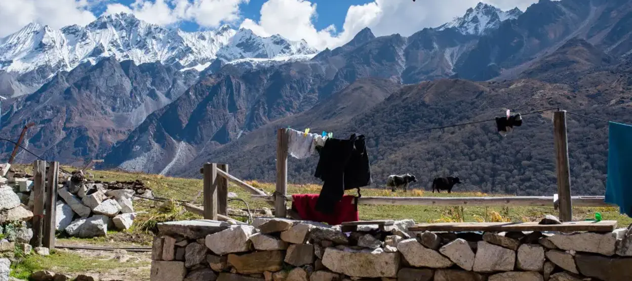 Langtang National Park Travel Guide: Trekking Routes, Wildlife & How to Get There from Kathmandu