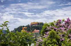 Kathmandu Day Tour