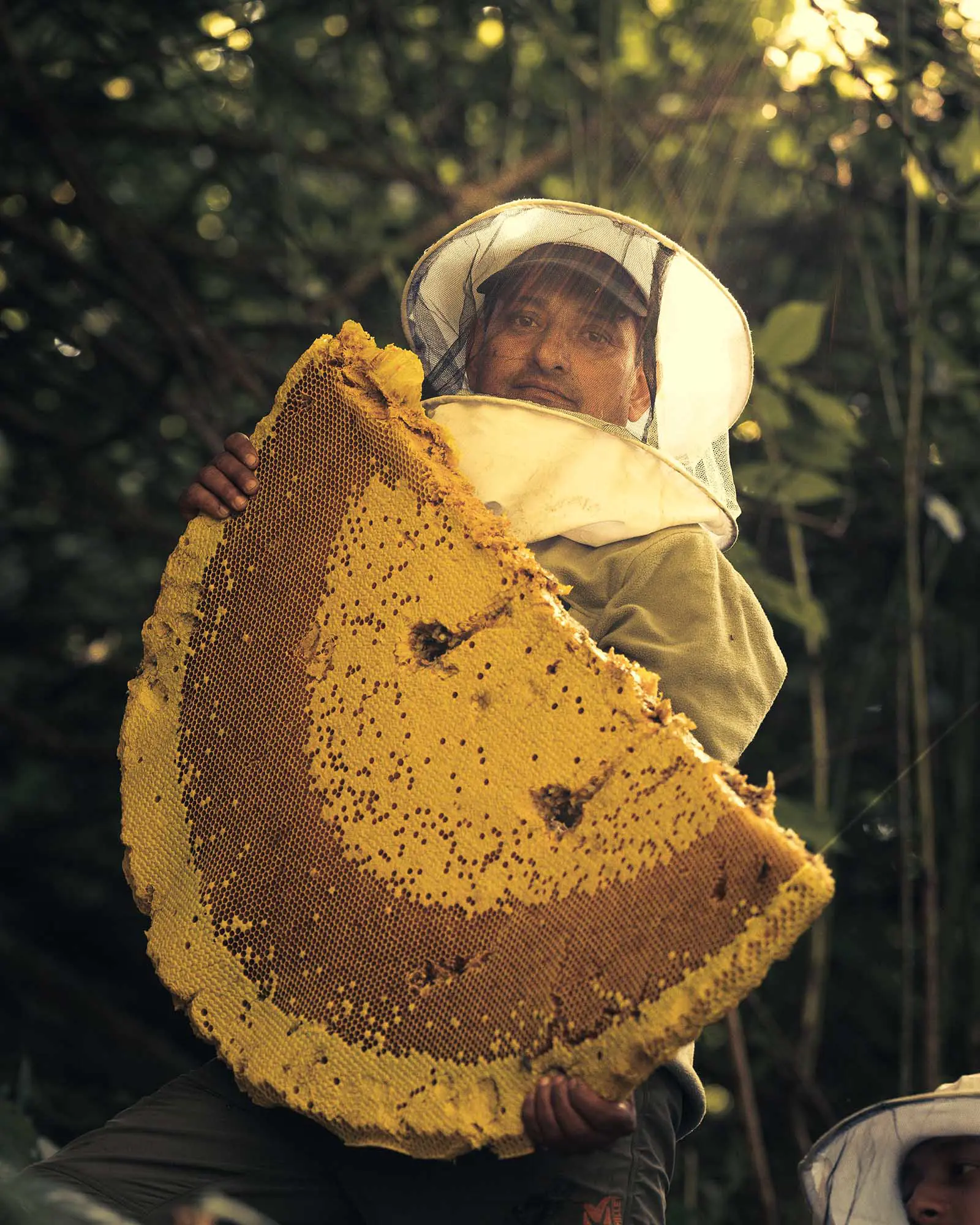 Who Are the Mad Honey Hunters?