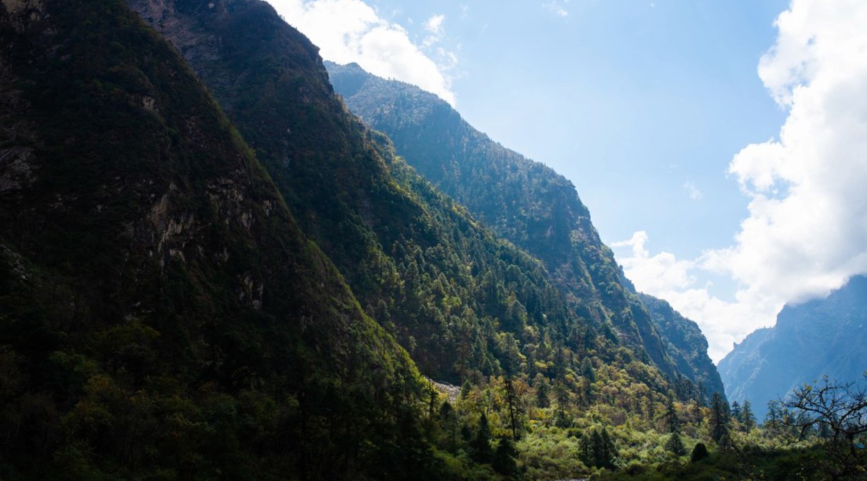 Langtang Valley Trek-11 Days Langtang Valley Trek-11 Days