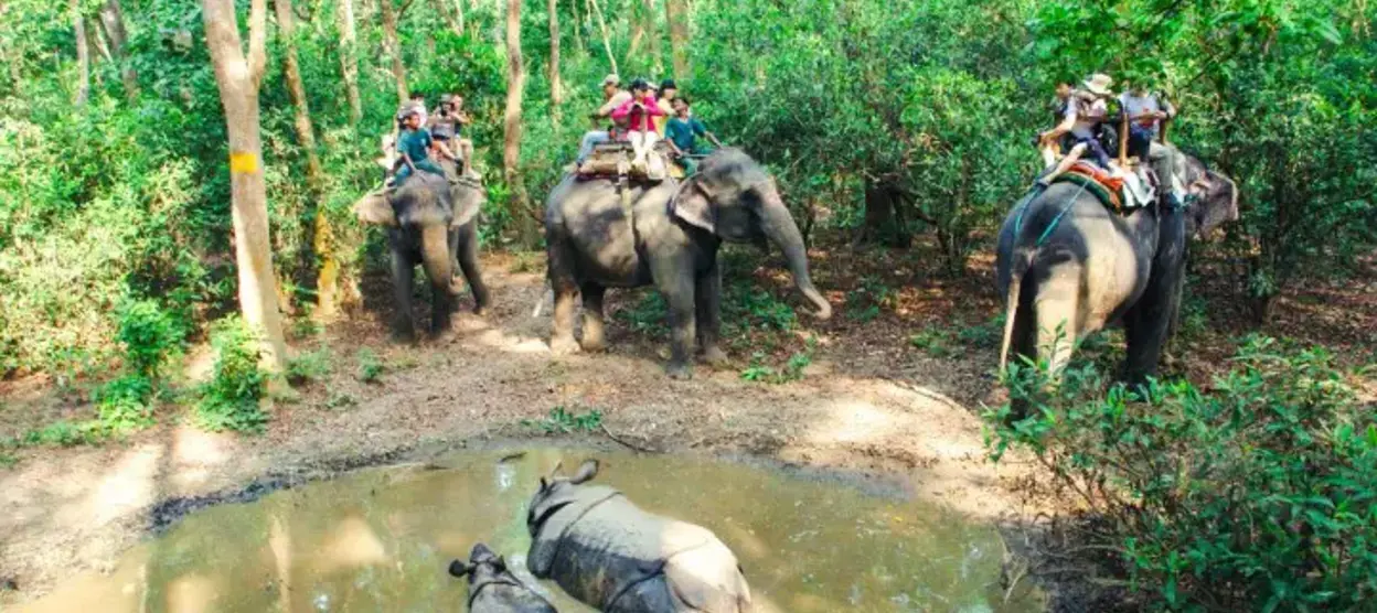 The Majestic National Parks of Nepal: Explore Wildlife, Adventure & Culture with Trek Me Nepal