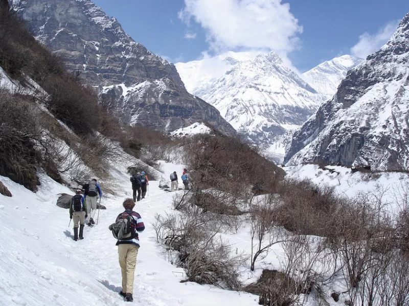 Tourists_trekking_in_Annapurna_region