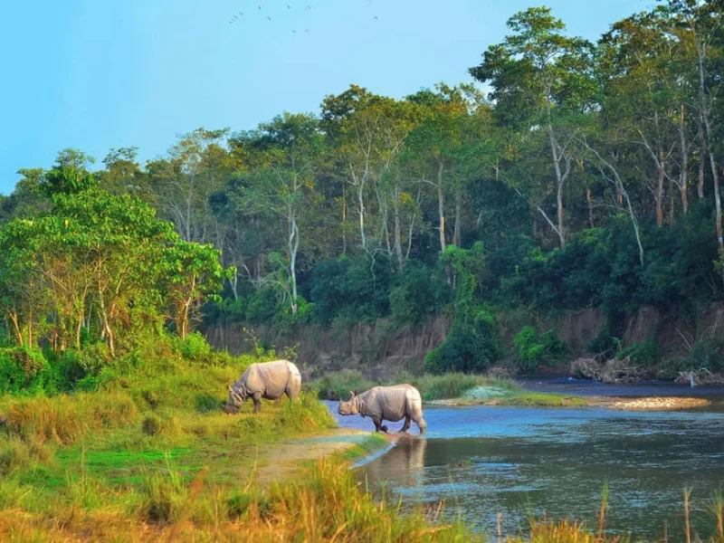 nepal-jungle-safari