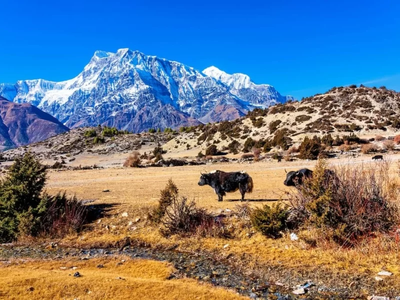 Annapurna Conservation Area