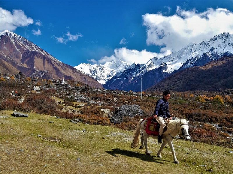 Langtang national park