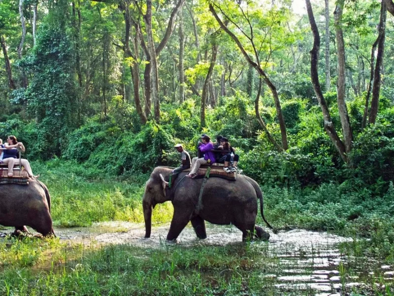 Chitwan National Park