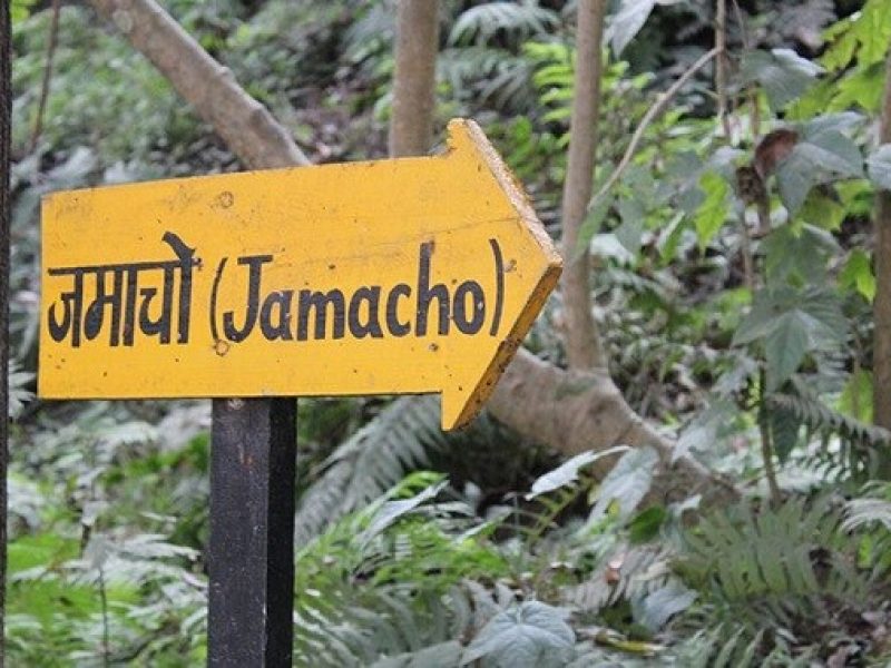 Hike to Jamacho Gumba