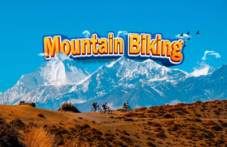 Mountain Biking